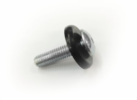 Mounting screw, short